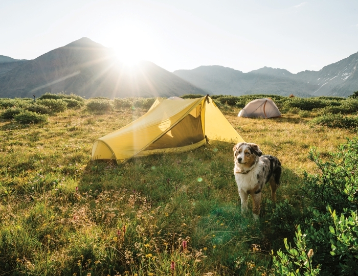 Летние развлечения на территории курорта Красная Поляна (ex. Горки Город) - Отель Novotel Resort and Spa Krasnaya Polyana / Новотель Резорт и Спа Красная Поляна