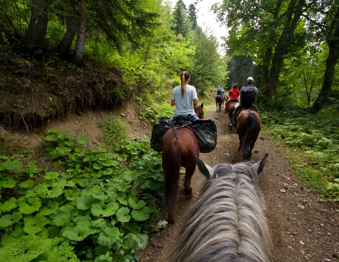 Летние развлечения на территории курорта Красная Поляна (ex. Горки Город) - Отель Novotel Resort and Spa Krasnaya Polyana / Новотель Резорт и Спа Красная Поляна
