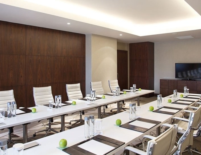 Конференц-зал «Альпинка» - Отель Novotel Resort and Spa Krasnaya Polyana / Новотель Резорт и Спа Красная Поляна
